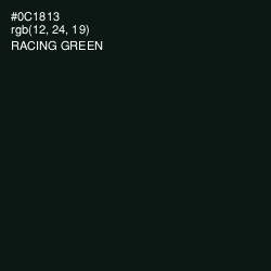 #0C1813 - Racing Green Color Image